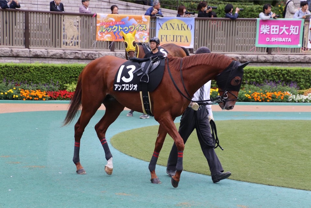 f:id:umerintaro:20191118122129j:image