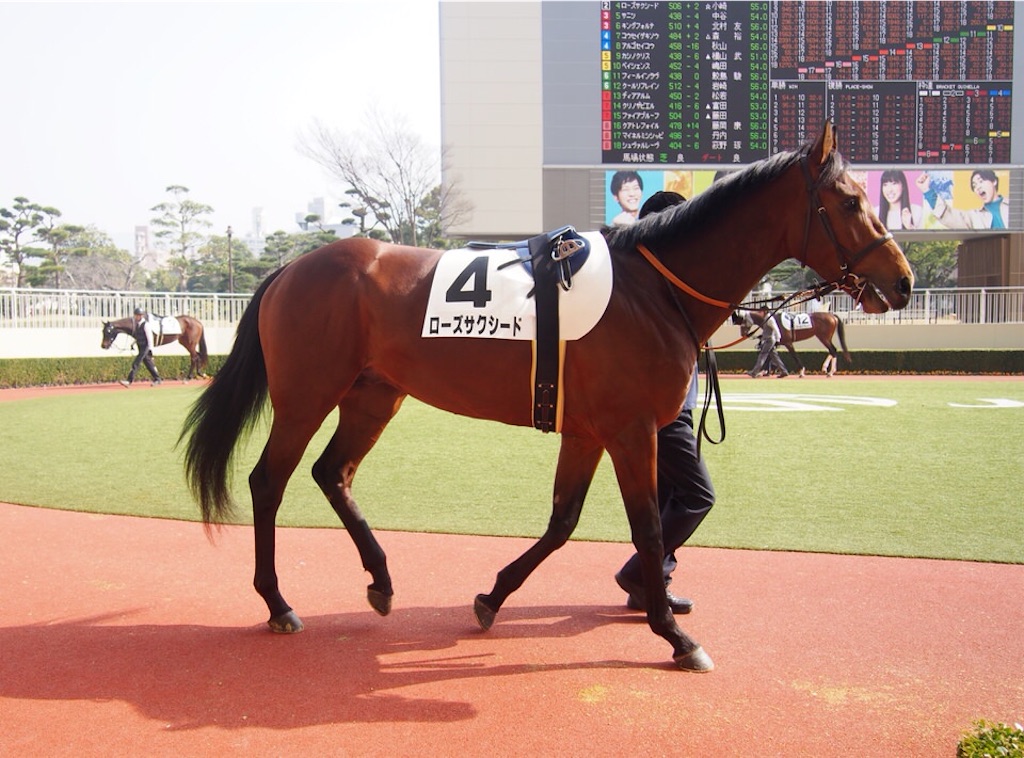 f:id:umerintaro:20191118122132j:image