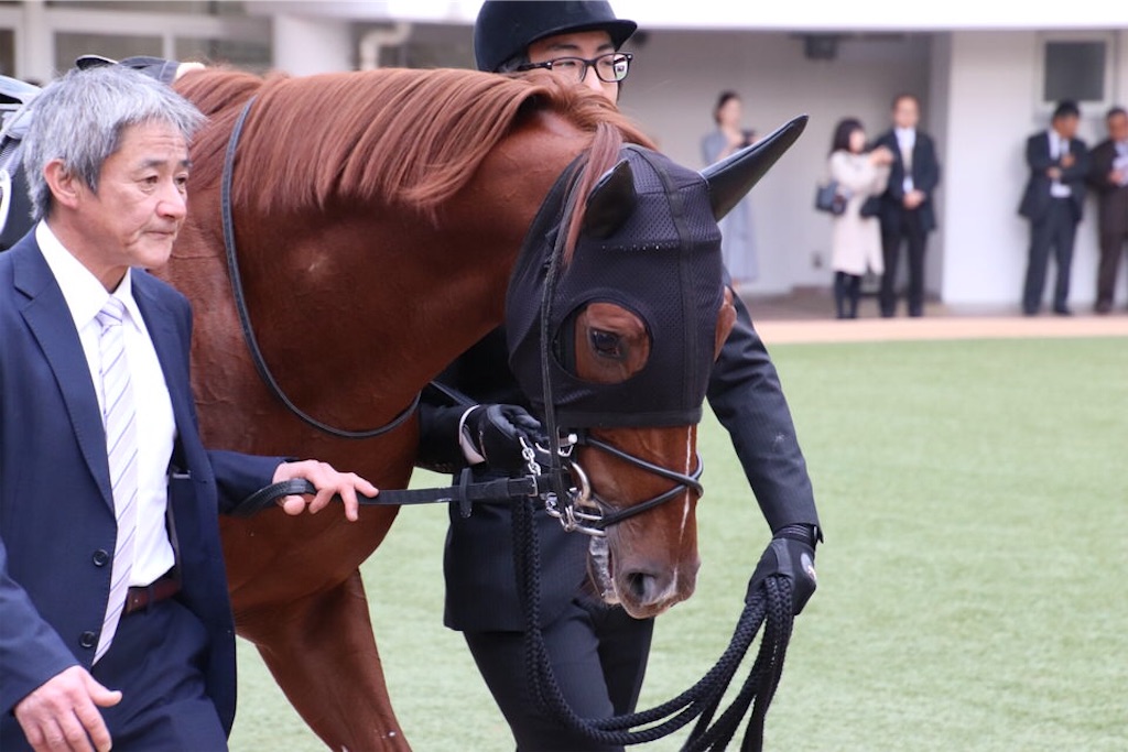 f:id:umerintaro:20191118122135j:image