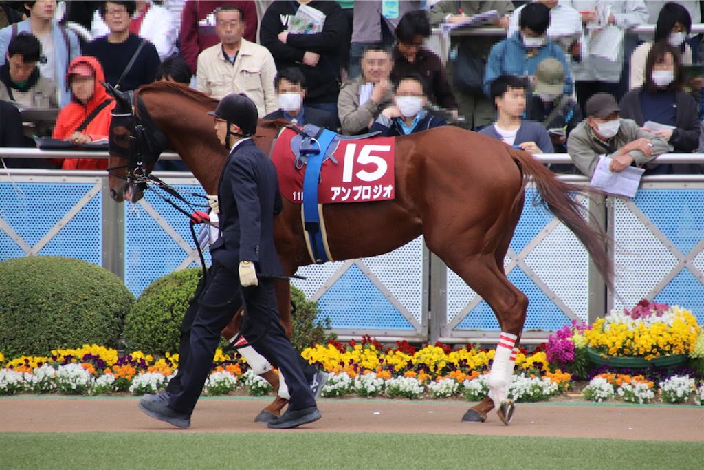 f:id:umerintaro:20191118122146j:image