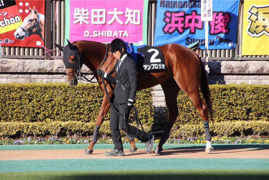 f:id:umerintaro:20191118122208j:image