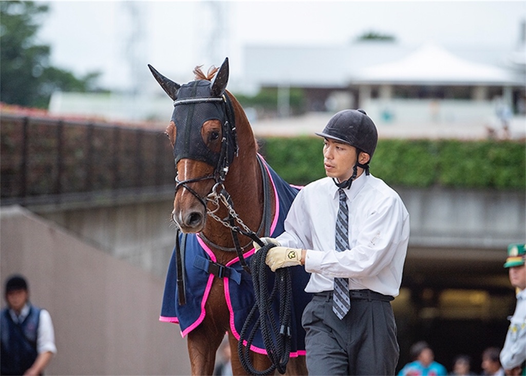 f:id:umerintaro:20191118122255j:image