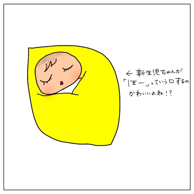 f:id:umesensei:20200513102517j:plain f:id:umesensei:20200513102517j:plain