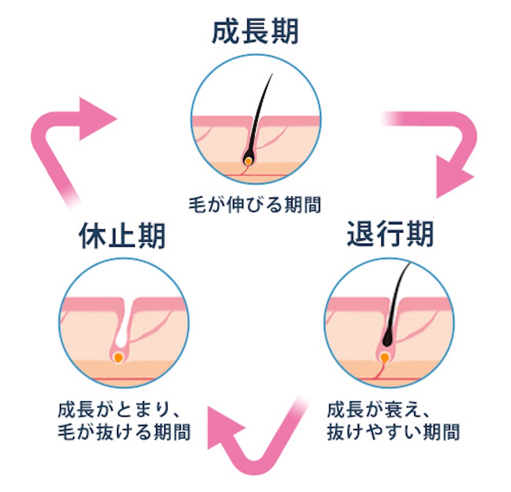 f:id:umestitch:20221119092028j:image