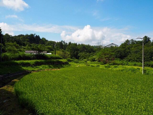 f:id:umetani1031:20190902082138j:plain