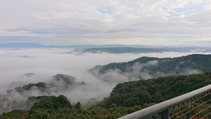 f:id:umetani1031:20191113205513p:plain