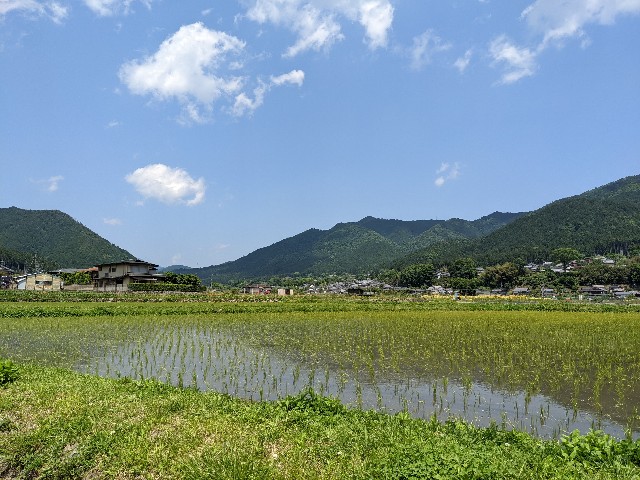 f:id:umezarame:20230225212738j:image f:id:umezarame:20230225212738j:image