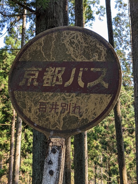 f:id:umezarame:20230331004432j:image f:id:umezarame:20230331004432j:image