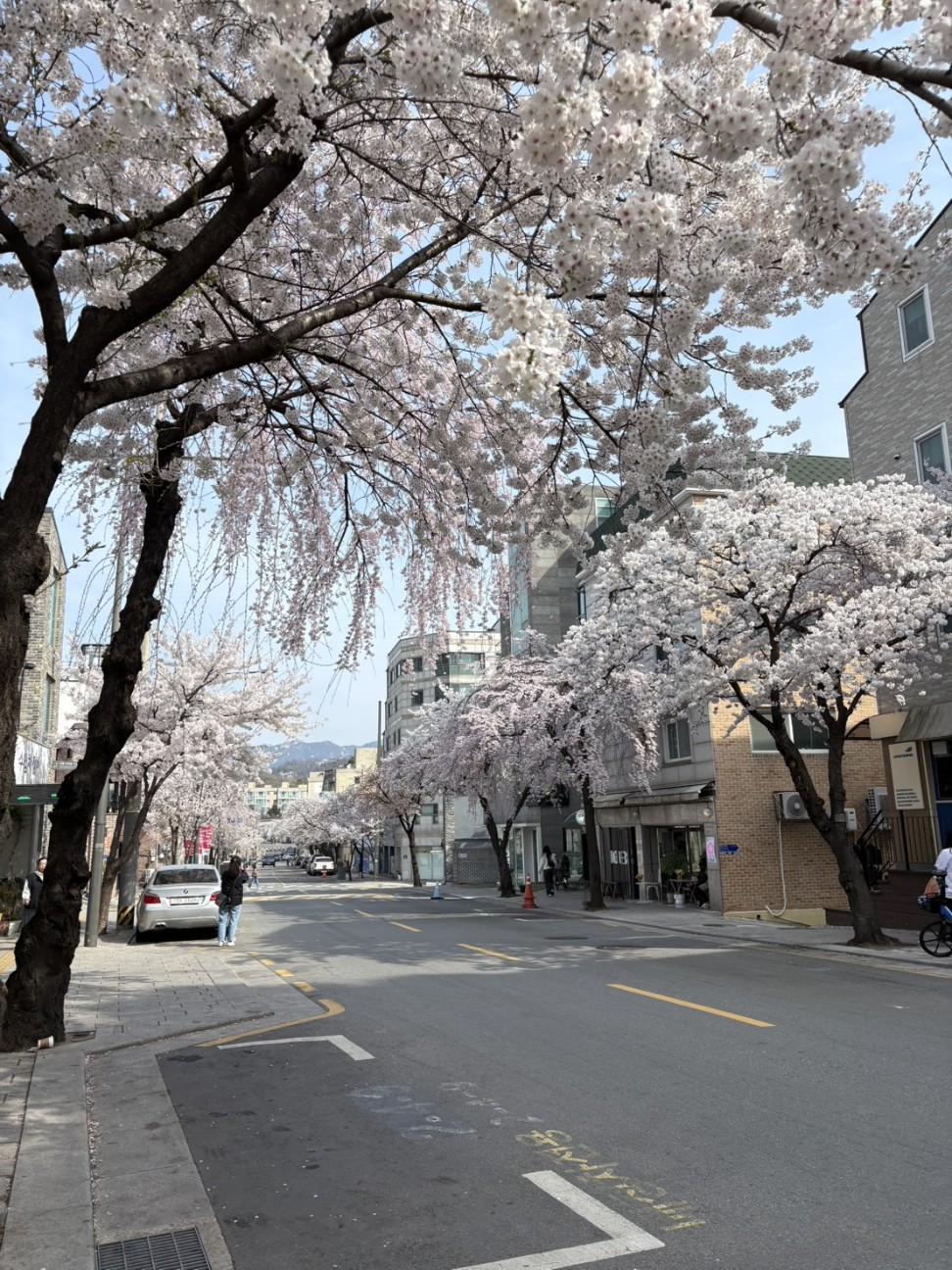 f:id:umi1019rin0113:20260405224812j:image f:id:umi1019rin0113:20260405224812j:image