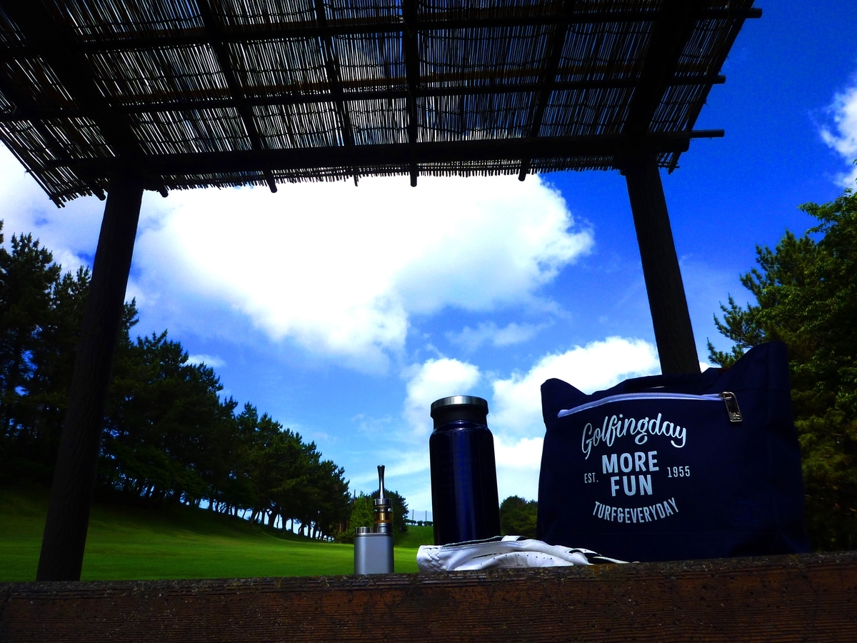 f:id:umi3049jp:20190607202955j:plain