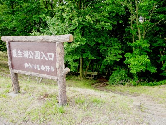 f:id:umi3049jp:20200603183540j:plain