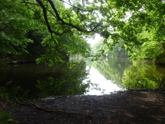 f:id:umi3049jp:20200603184114j:plain