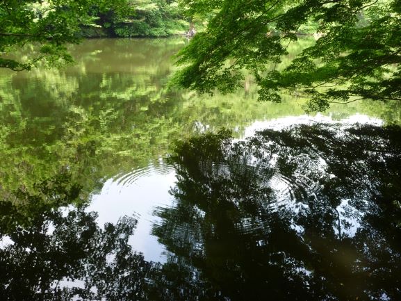 f:id:umi3049jp:20200603184217j:plain