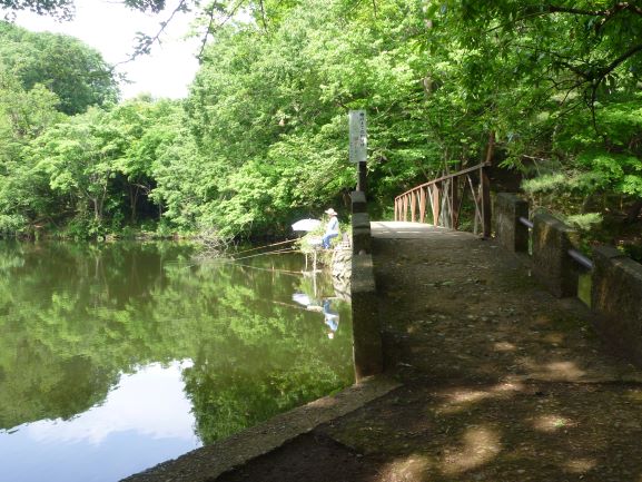 f:id:umi3049jp:20200603190309j:plain