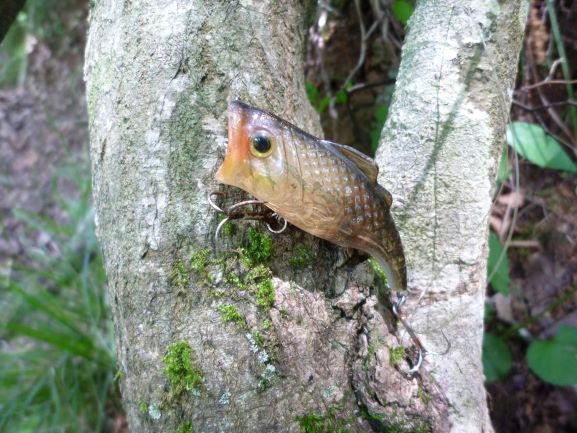 f:id:umi3049jp:20200603191147j:plain