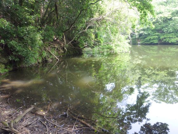 f:id:umi3049jp:20200603191902j:plain