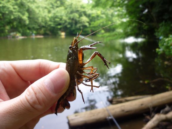 f:id:umi3049jp:20200603192653j:plain