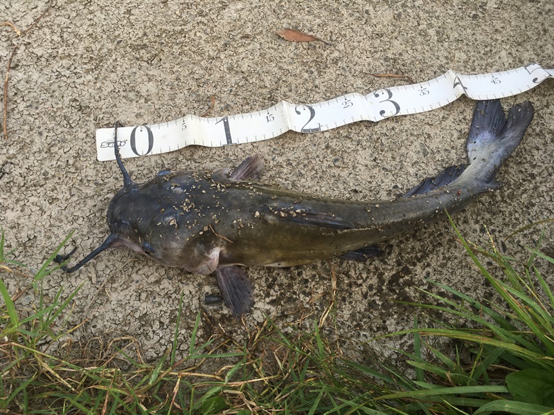 f:id:umi3049jp:20201012172227j:plain