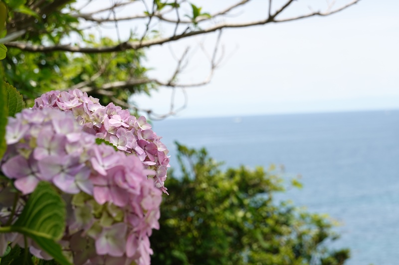 f:id:umi3049jp:20210531203049j:plain