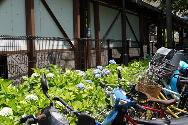 f:id:umi3049jp:20210531205124j:plain