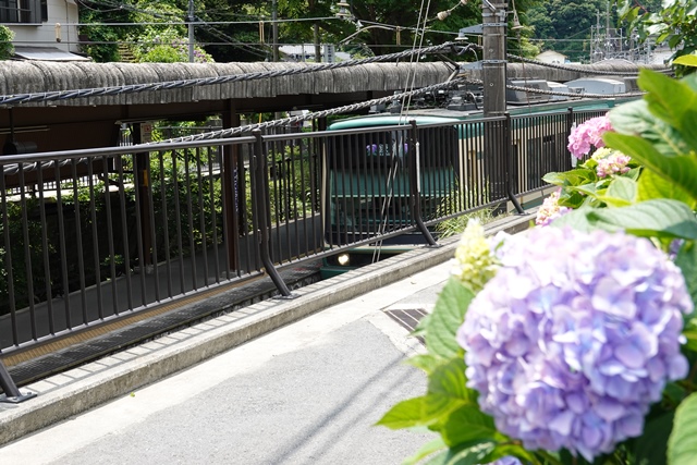 f:id:umi3049jp:20210531205636j:plain