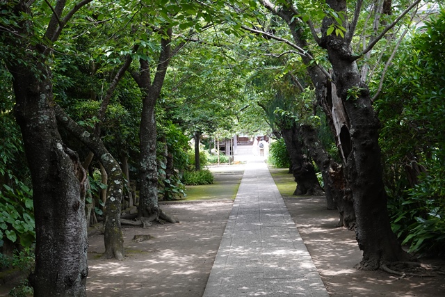 f:id:umi3049jp:20210531210200j:plain