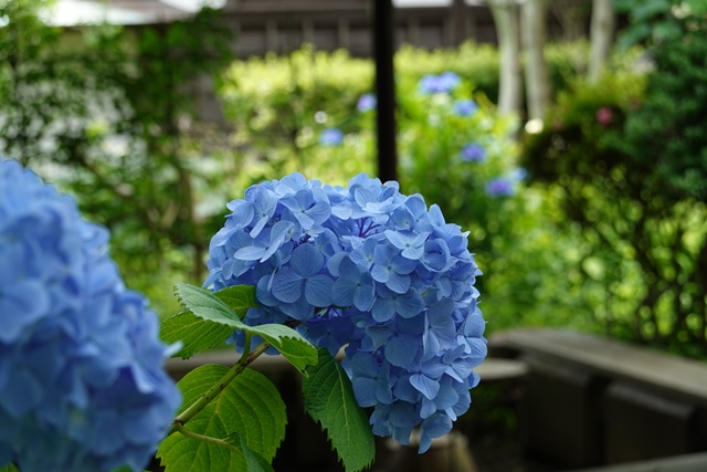 f:id:umi3049jp:20210531210944j:plain