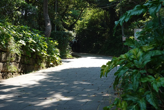 f:id:umi3049jp:20210609185714j:plain