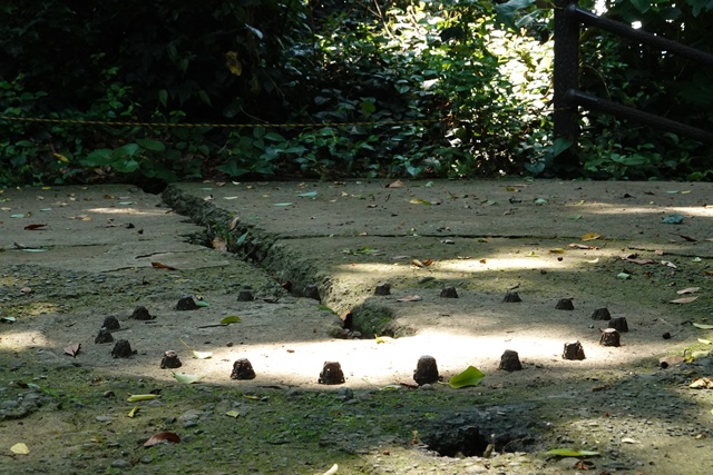 f:id:umi3049jp:20210609191556j:plain