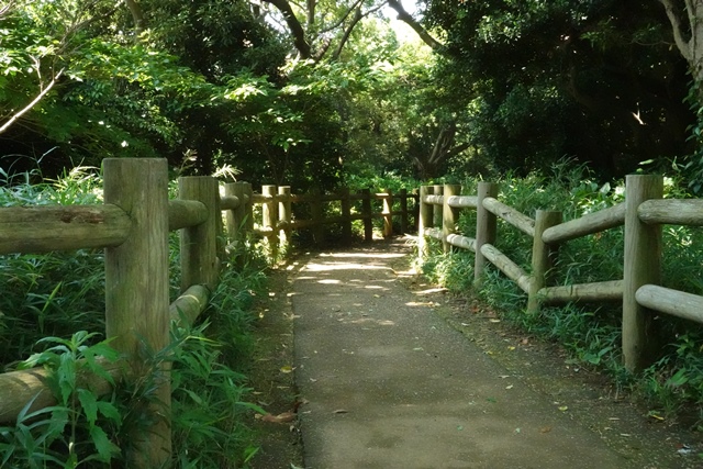 f:id:umi3049jp:20210609192413j:plain