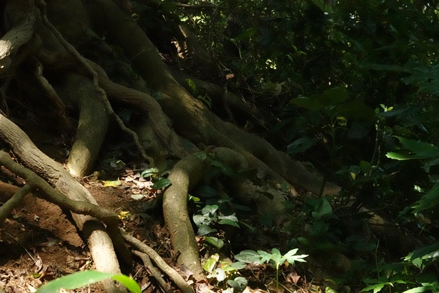 f:id:umi3049jp:20210609192525j:plain