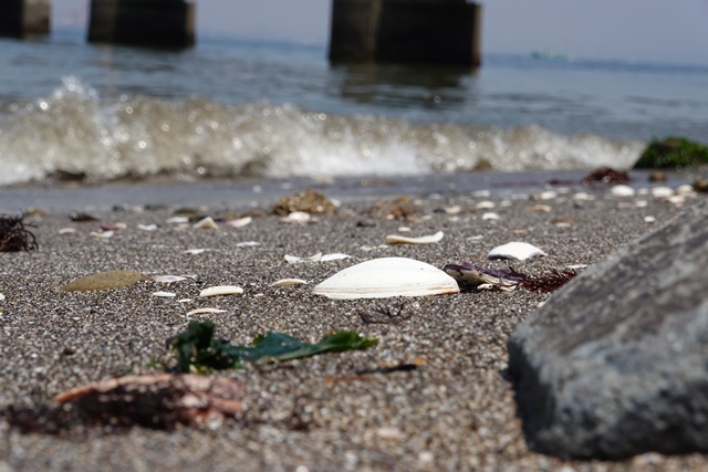 f:id:umi3049jp:20210609193000j:plain