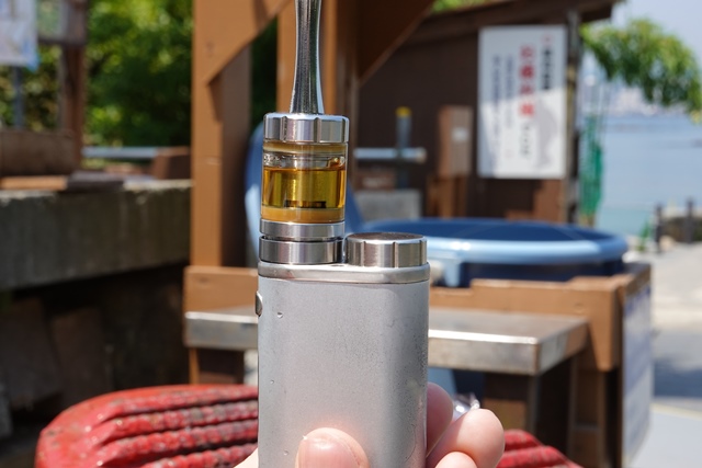 f:id:umi3049jp:20210609193710j:plain