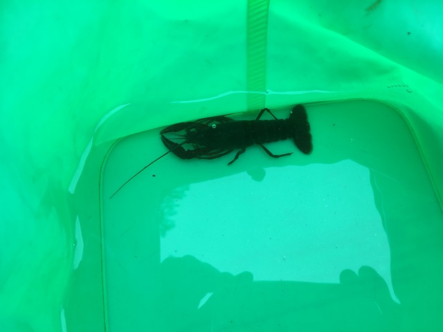 f:id:umi3049jp:20210828195713j:plain