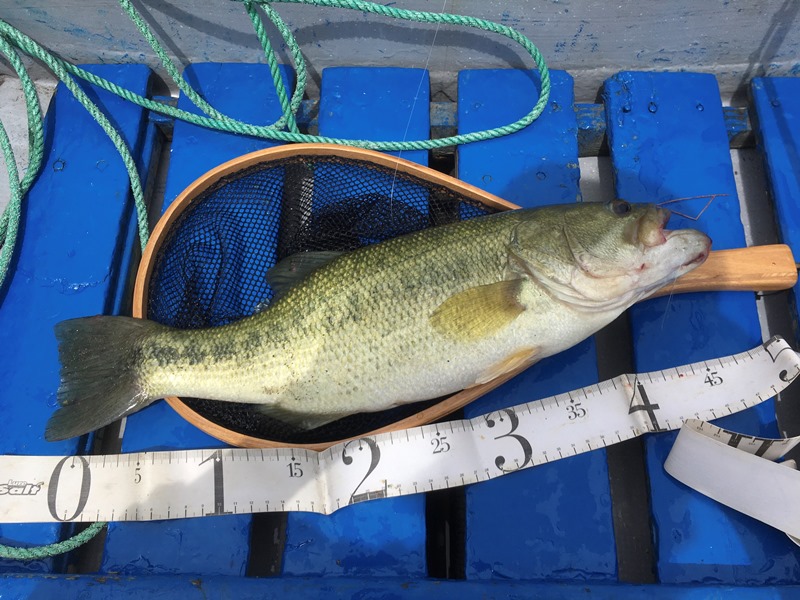 f:id:umi3049jp:20210828204551j:plain