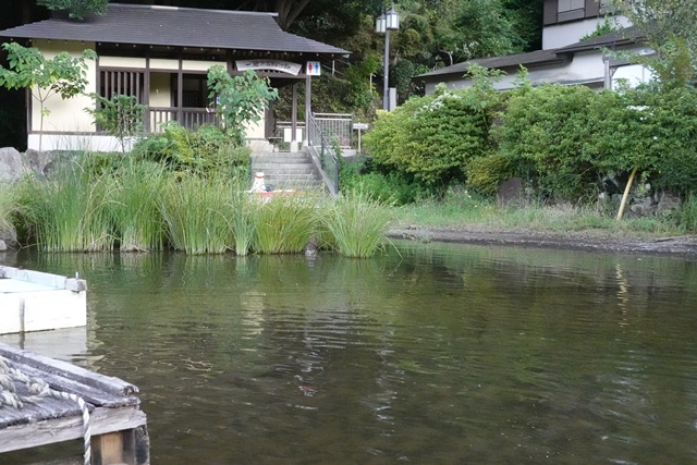 f:id:umi3049jp:20210910140324j:plain