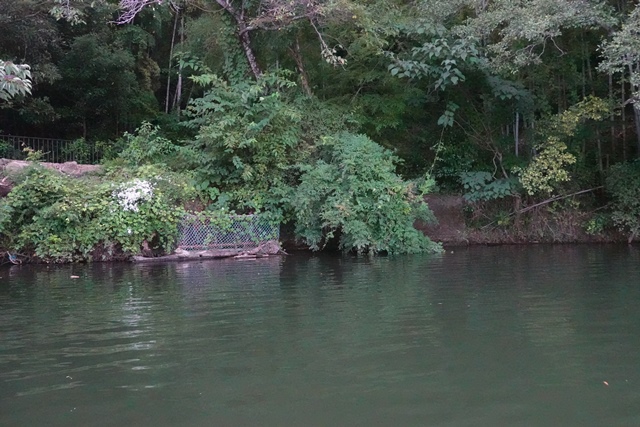 f:id:umi3049jp:20210910141918j:plain