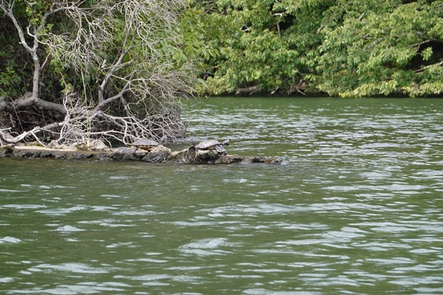 f:id:umi3049jp:20210910142327j:plain