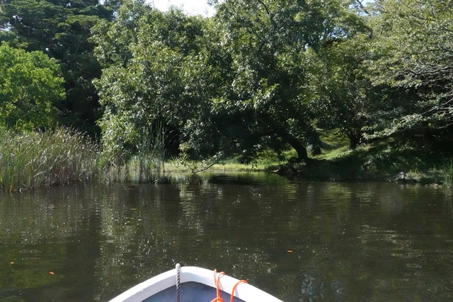 f:id:umi3049jp:20210910143547j:plain