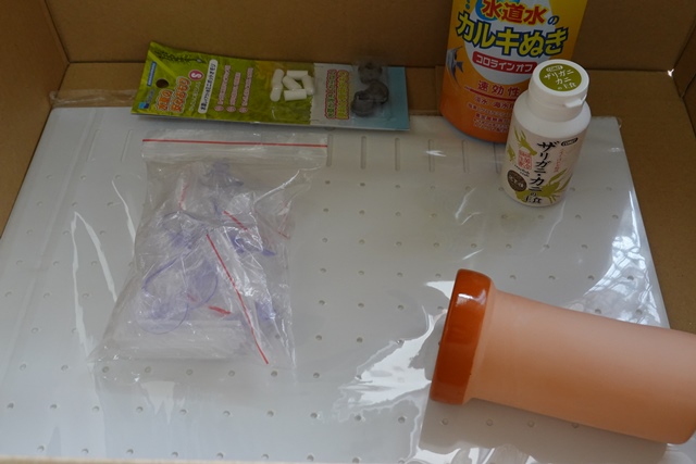 f:id:umi3049jp:20210910164716j:plain