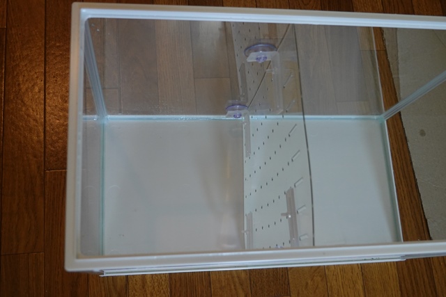 f:id:umi3049jp:20210910170015j:plain