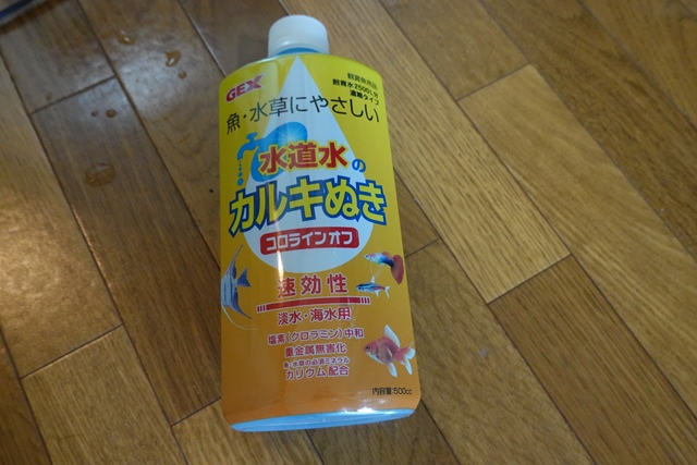 f:id:umi3049jp:20210910170405j:plain