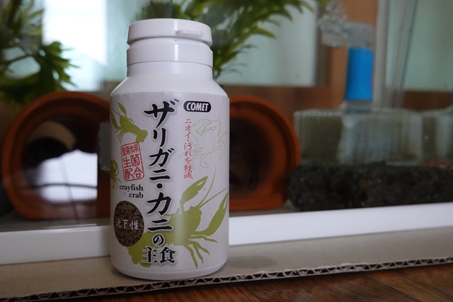 f:id:umi3049jp:20210910171455j:plain