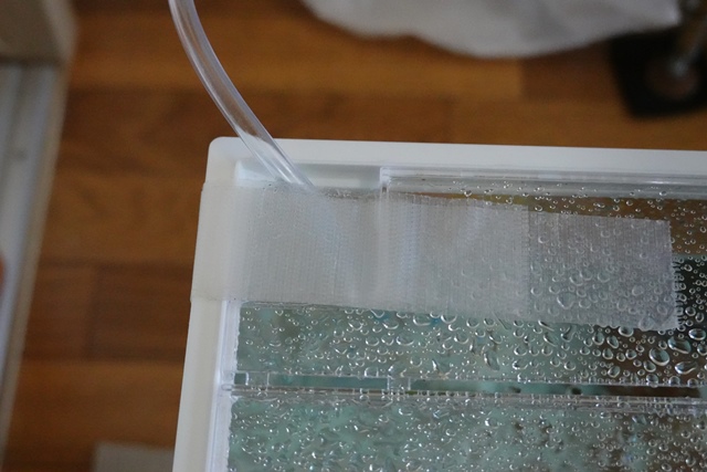 f:id:umi3049jp:20210910171709j:plain