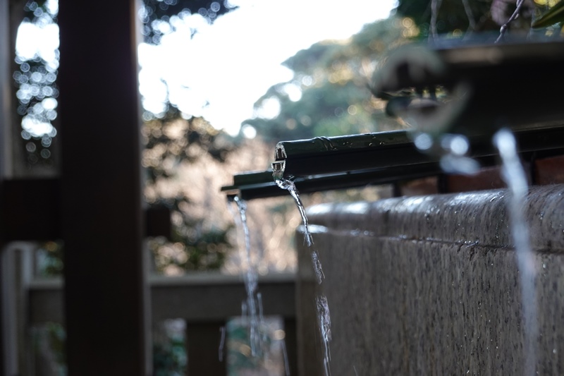 f:id:umi3049jp:20220104174036j:plain