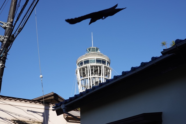 f:id:umi3049jp:20220104183535j:plain