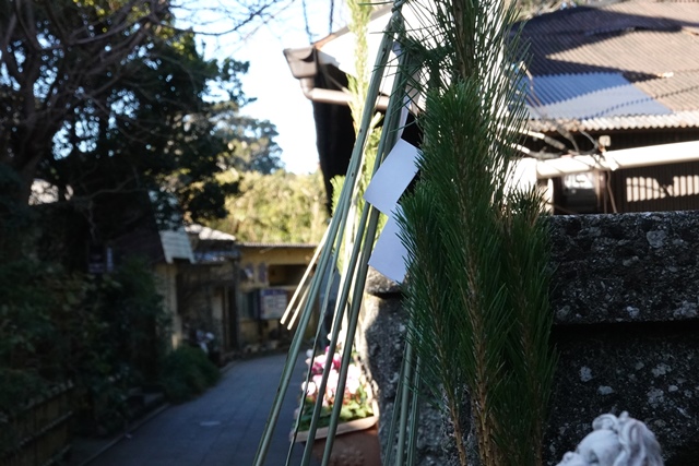 f:id:umi3049jp:20220104183855j:plain