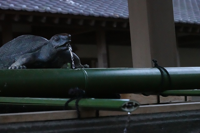 f:id:umi3049jp:20220104185000j:plain