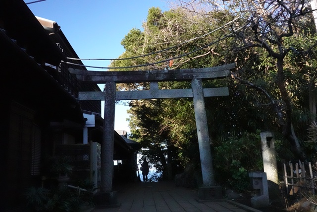 f:id:umi3049jp:20220104191311j:plain