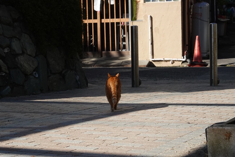 f:id:umi3049jp:20220104200049j:plain